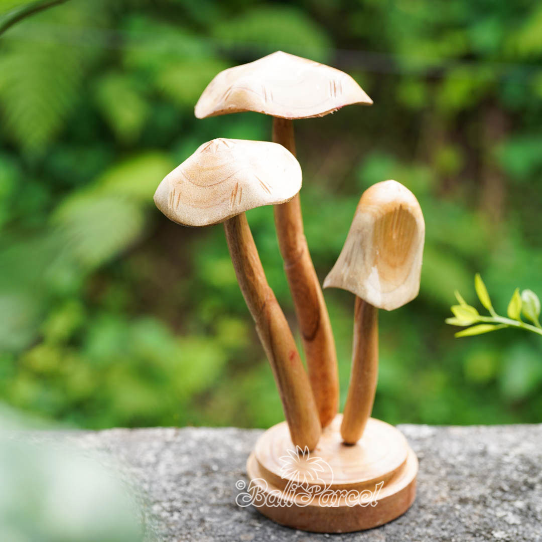 Wooden Mushrooms With Parasite Wood