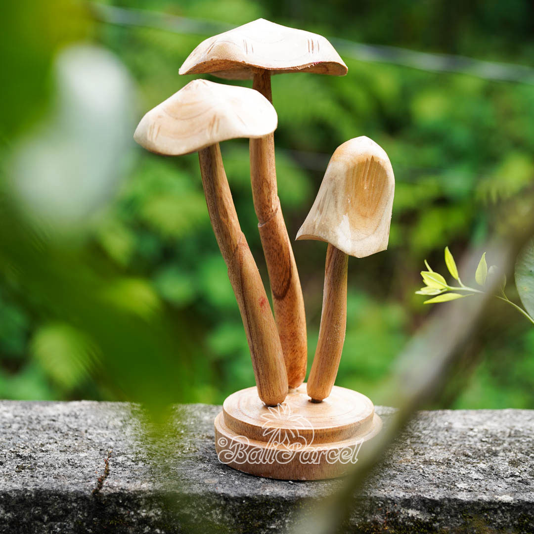 Wooden Mushrooms With Parasite Wood