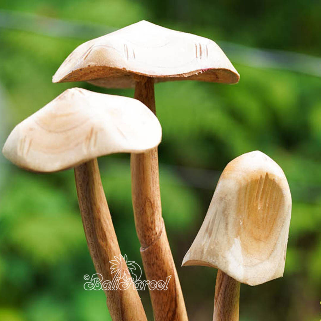 Wooden Mushrooms With Parasite Wood