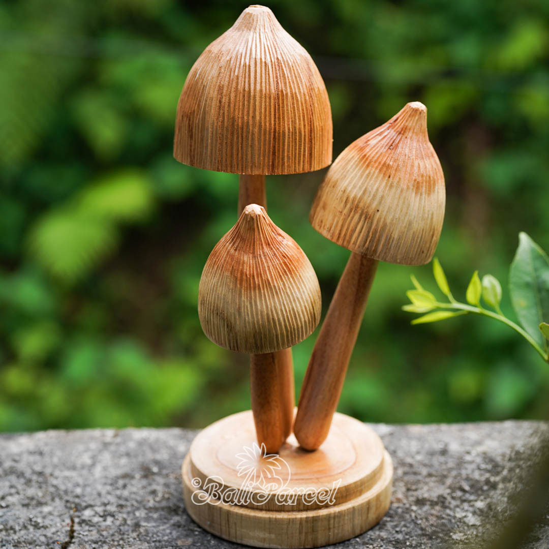 Wooden Mushrooms With Parasite Wood