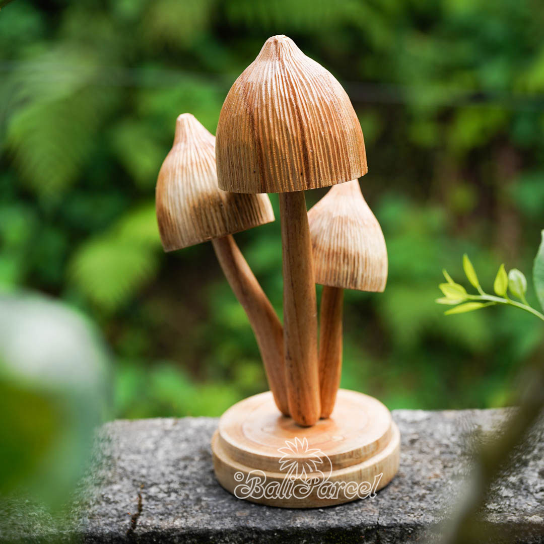 Wooden Mushrooms With Parasite Wood