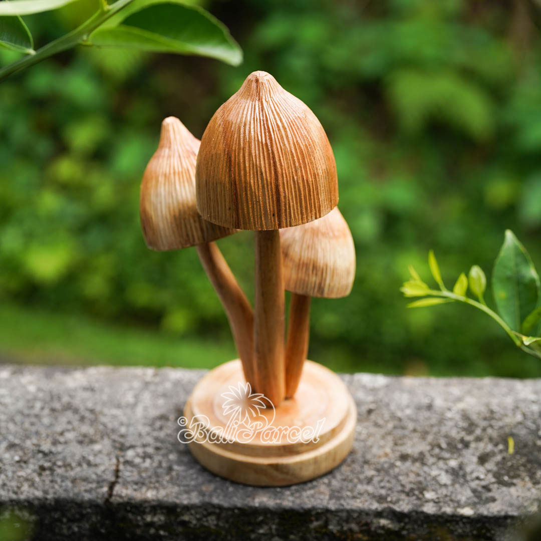 Wooden Mushrooms With Parasite Wood