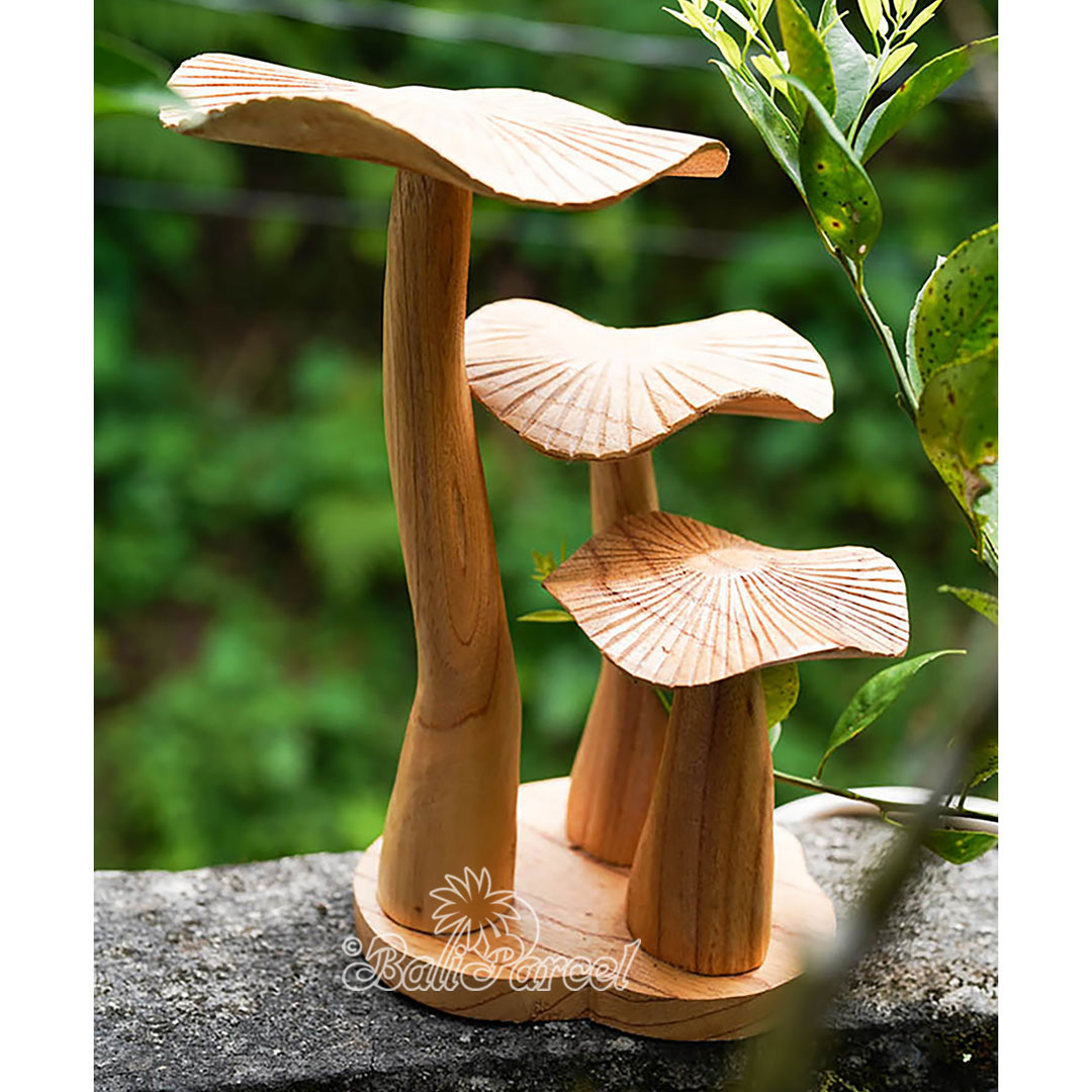 Wooden Mushrooms With Parasite Wood
