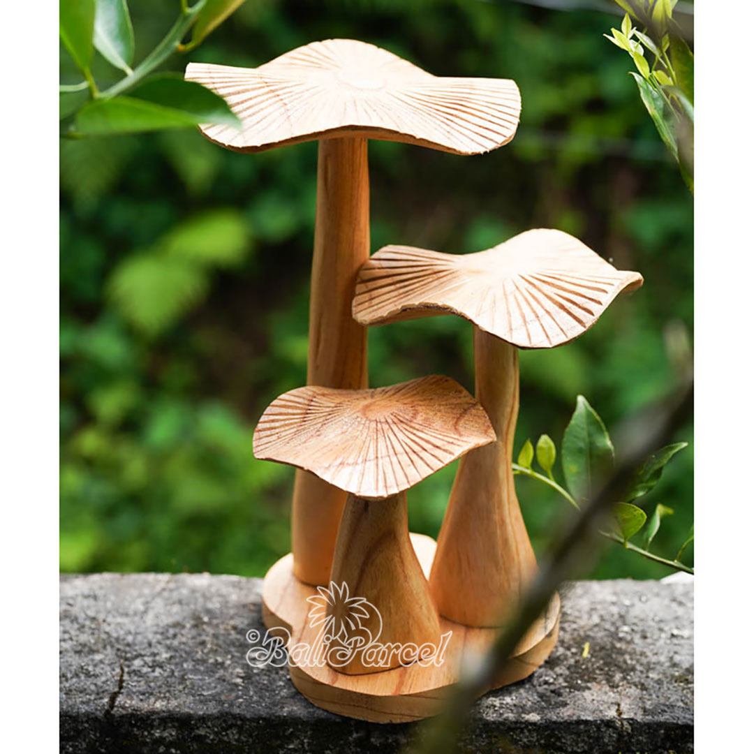 Wooden Mushrooms With Parasite Wood