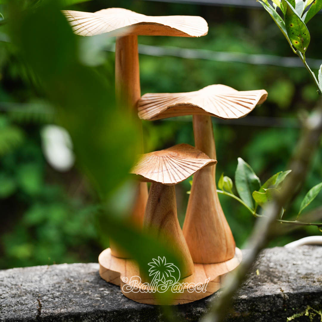 Wooden Mushrooms With Parasite Wood