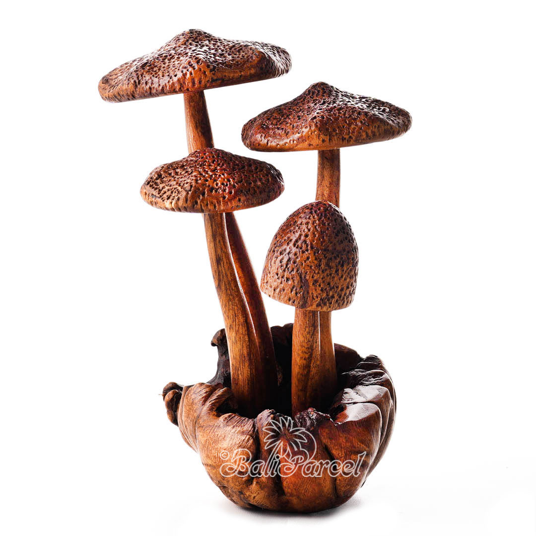 Wooden Mushrooms With Parasite Wood