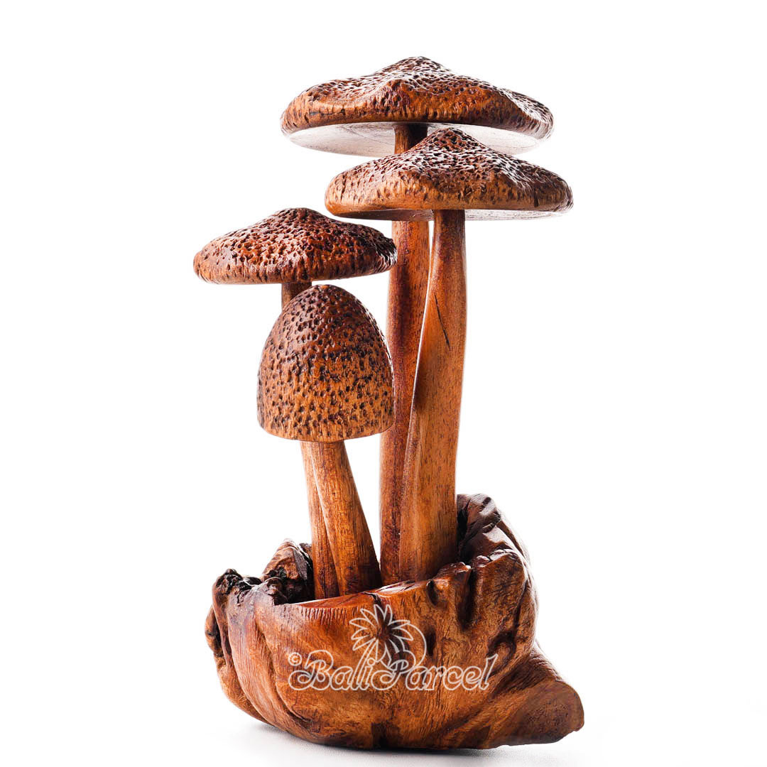 Wooden Mushrooms With Parasite Wood