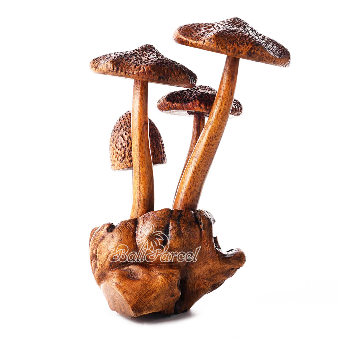 Wooden Mushrooms With Parasite Wood