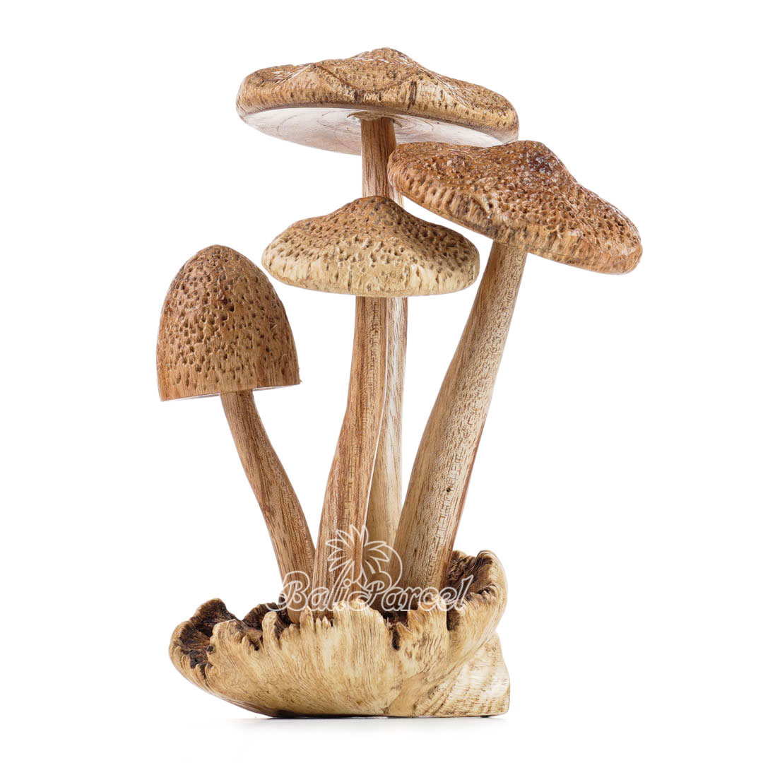 Wooden Mushrooms With Parasite Wood