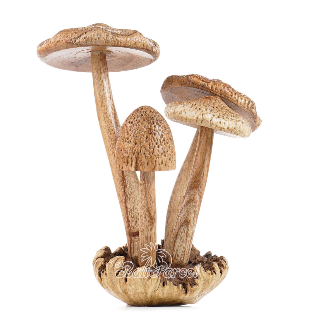 Wooden Mushrooms With Parasite Wood