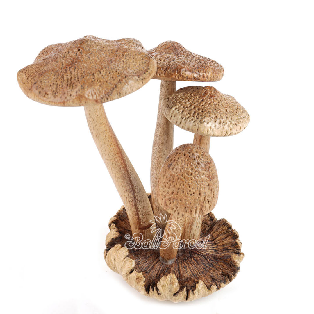 Wooden Mushrooms With Parasite Wood