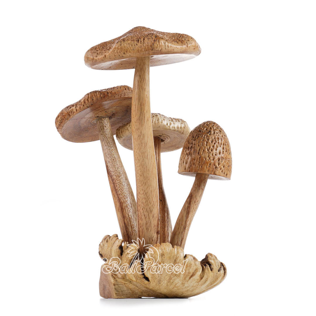 Wooden Mushrooms With Parasite Wood