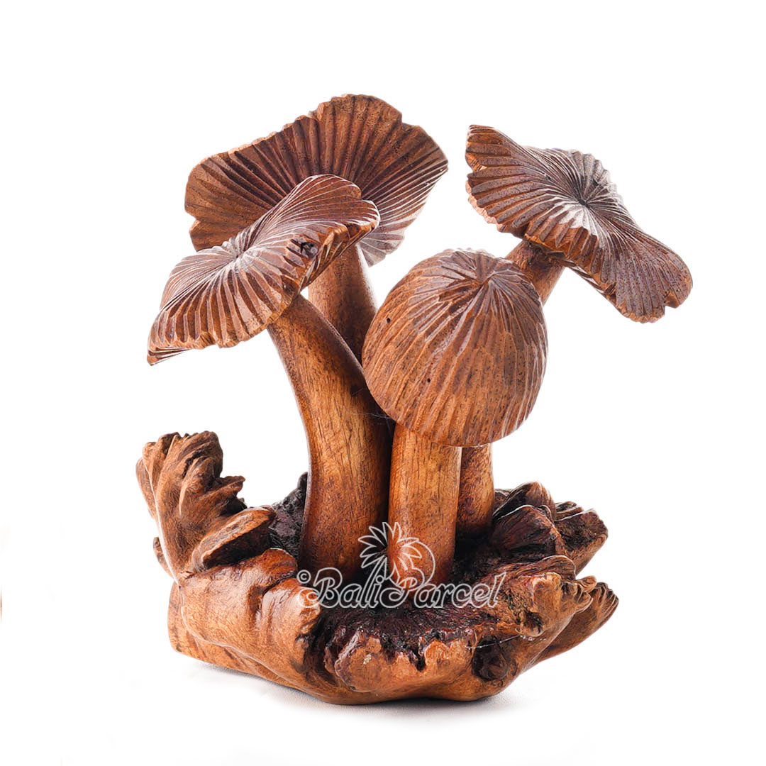 Wooden Mushrooms With Parasite Wood