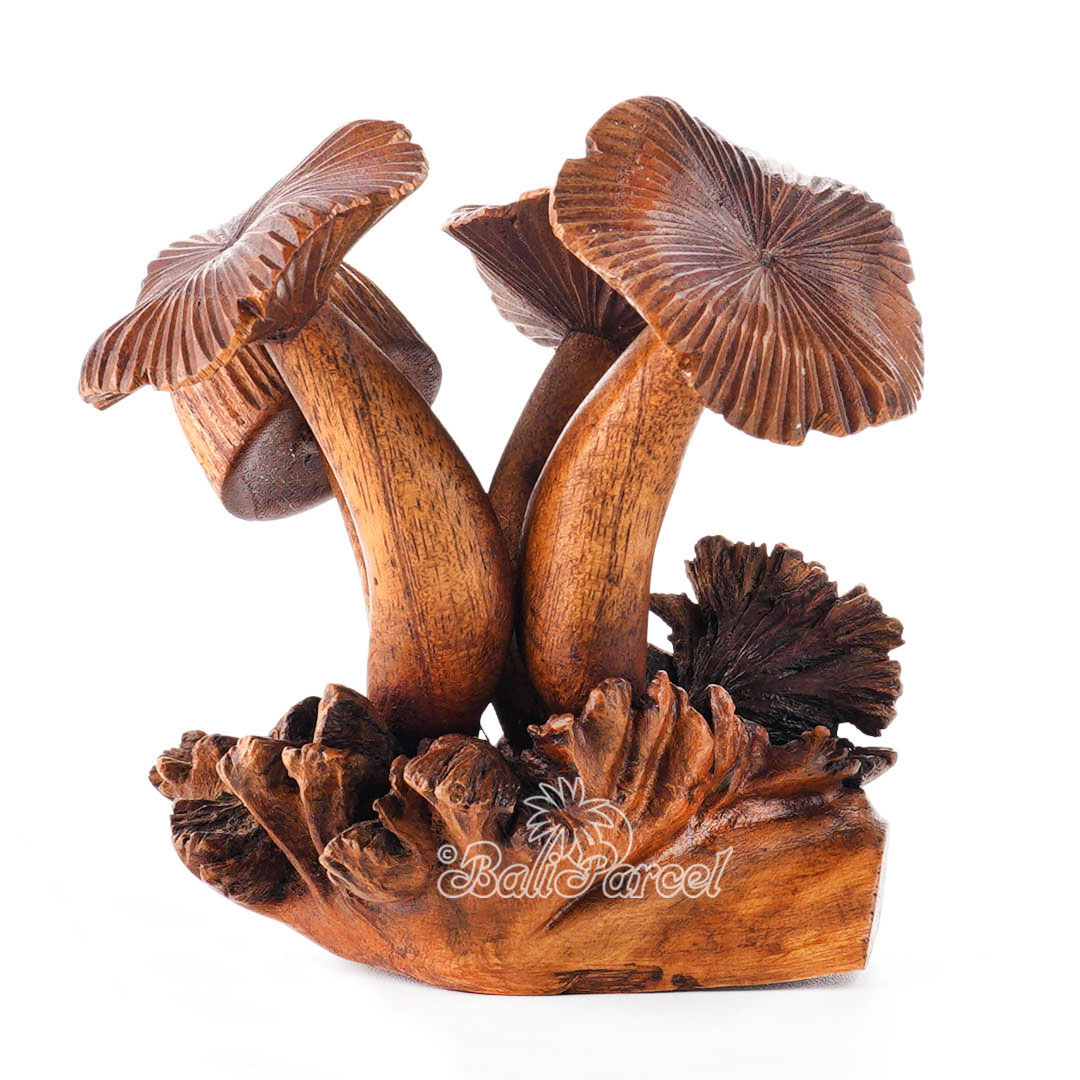 Wooden Mushrooms With Parasite Wood