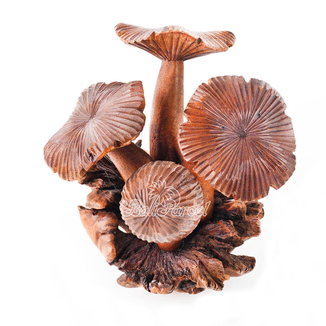 Wooden Mushrooms With Parasite Wood