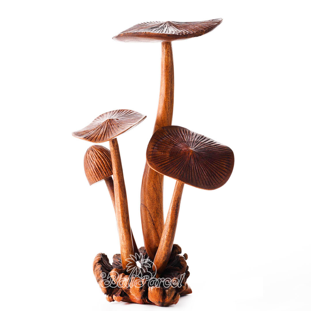 Wooden Mushrooms With Parasite Wood