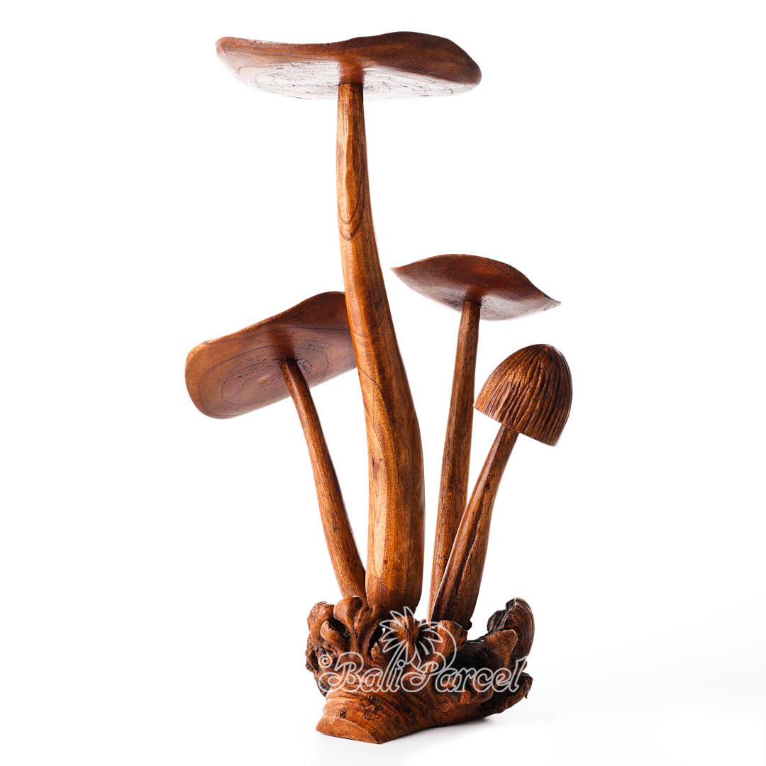 Wooden Mushrooms With Parasite Wood