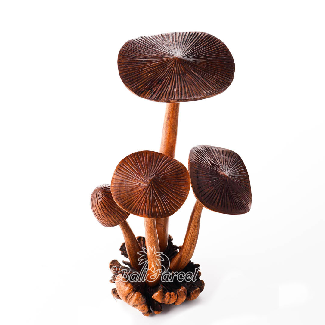 Wooden Mushrooms With Parasite Wood