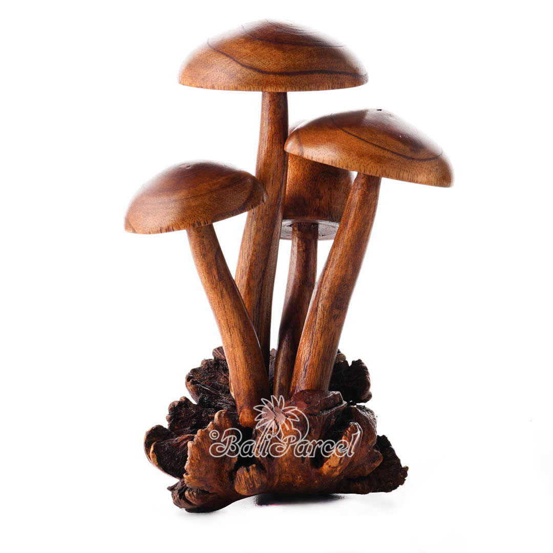 Wooden Mushrooms With Parasite Wood
