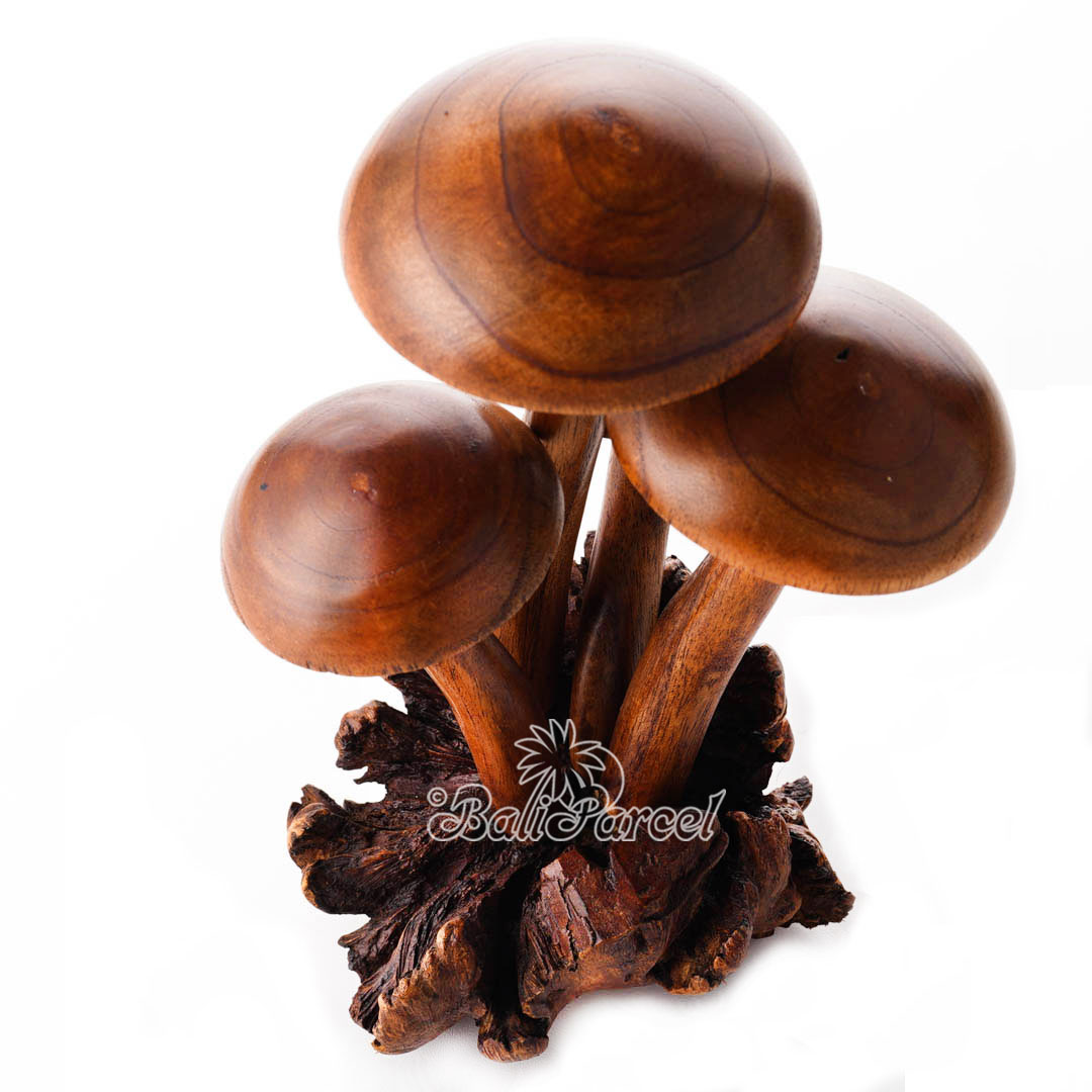 Wooden Mushrooms With Parasite Wood