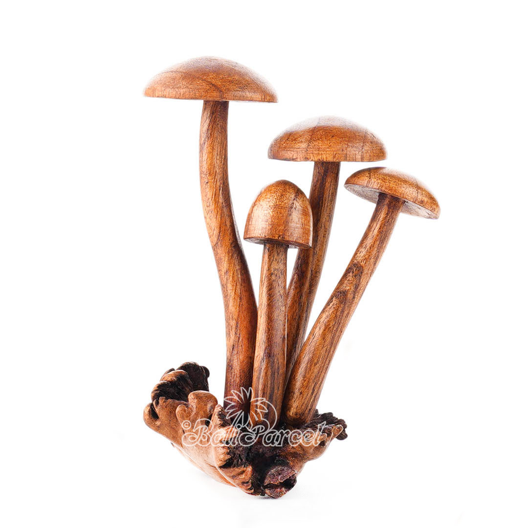 Wooden Mushrooms With Parasite Wood
