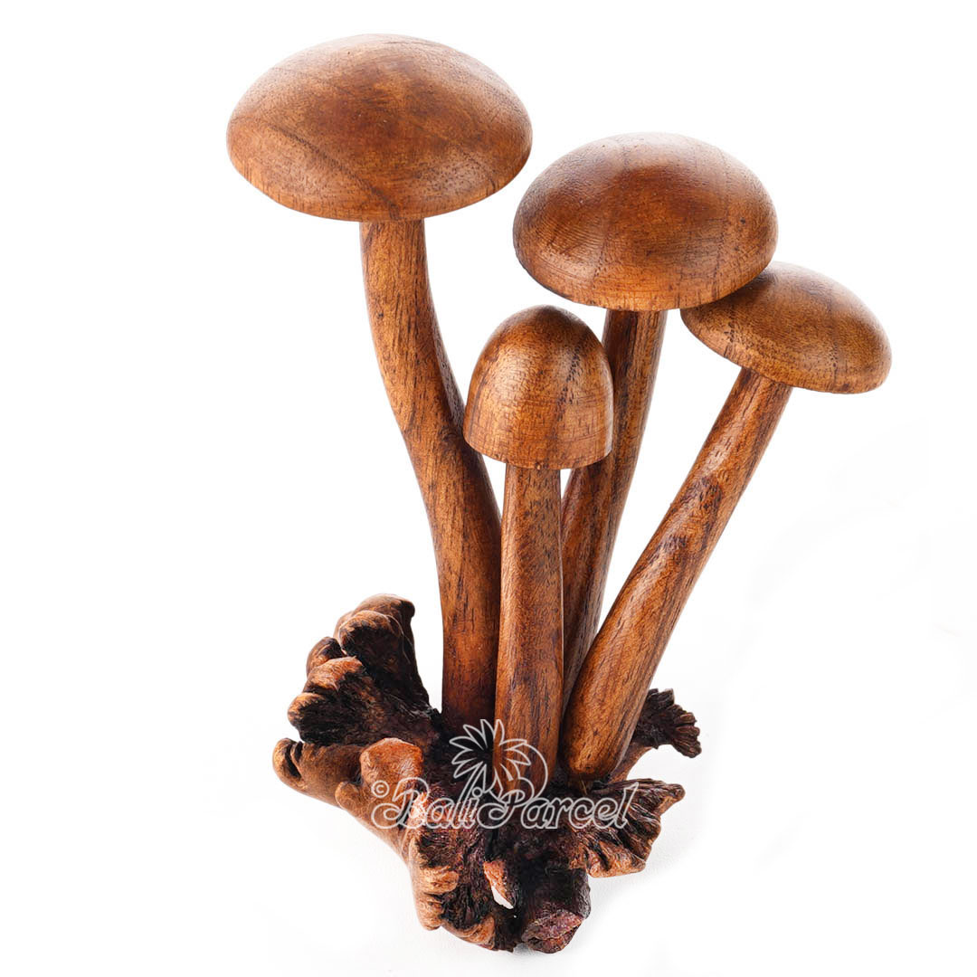 Wooden Mushrooms With Parasite Wood