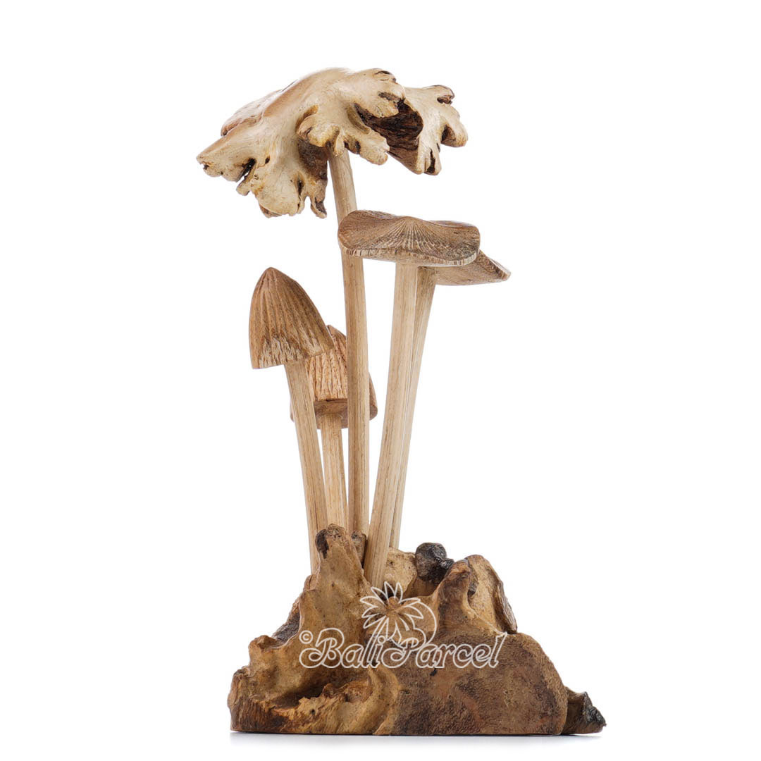 Wooden Mushrooms With Parasite Wood
