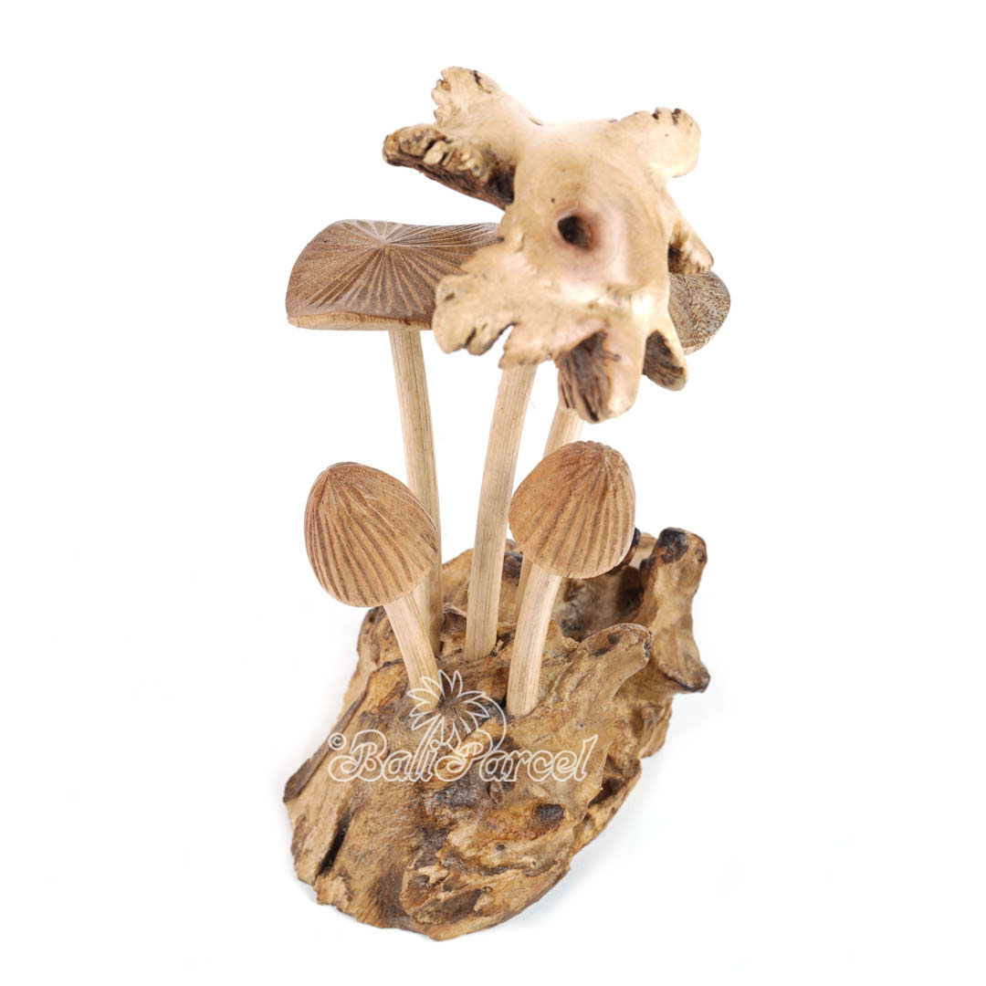 Wooden Mushrooms With Parasite Wood