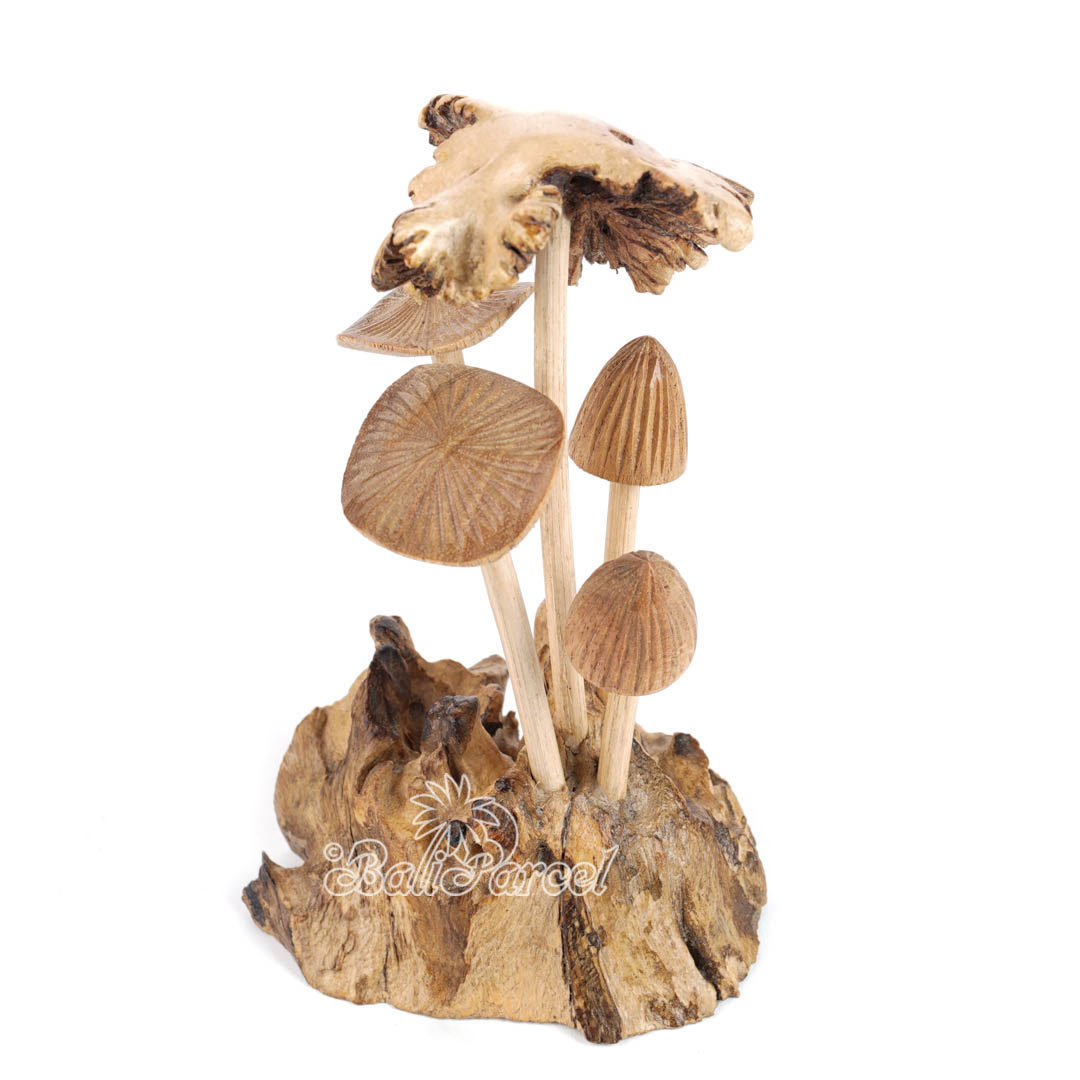 Wooden Mushrooms With Parasite Wood