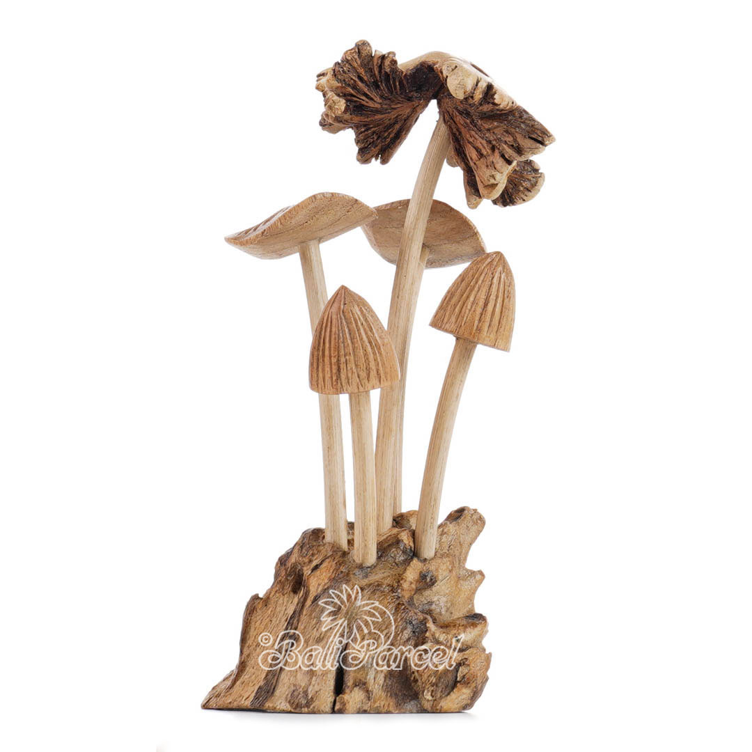 Wooden Mushrooms With Parasite Wood