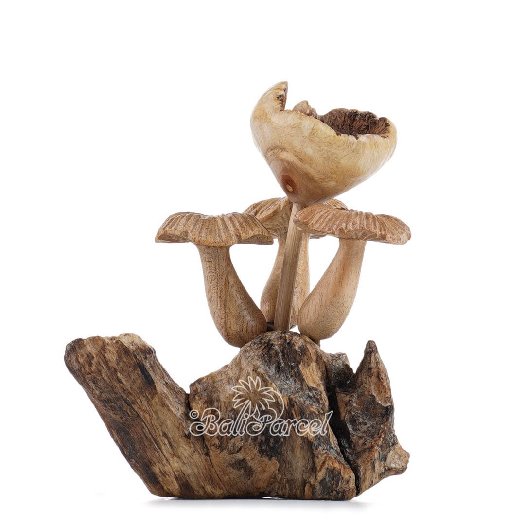 Wooden Mushrooms With Parasite Wood