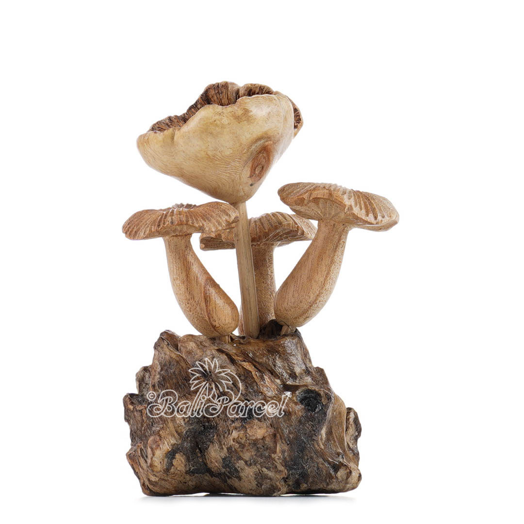Wooden Mushrooms With Parasite Wood