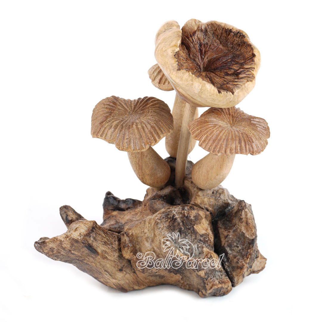 Wooden Mushrooms With Parasite Wood