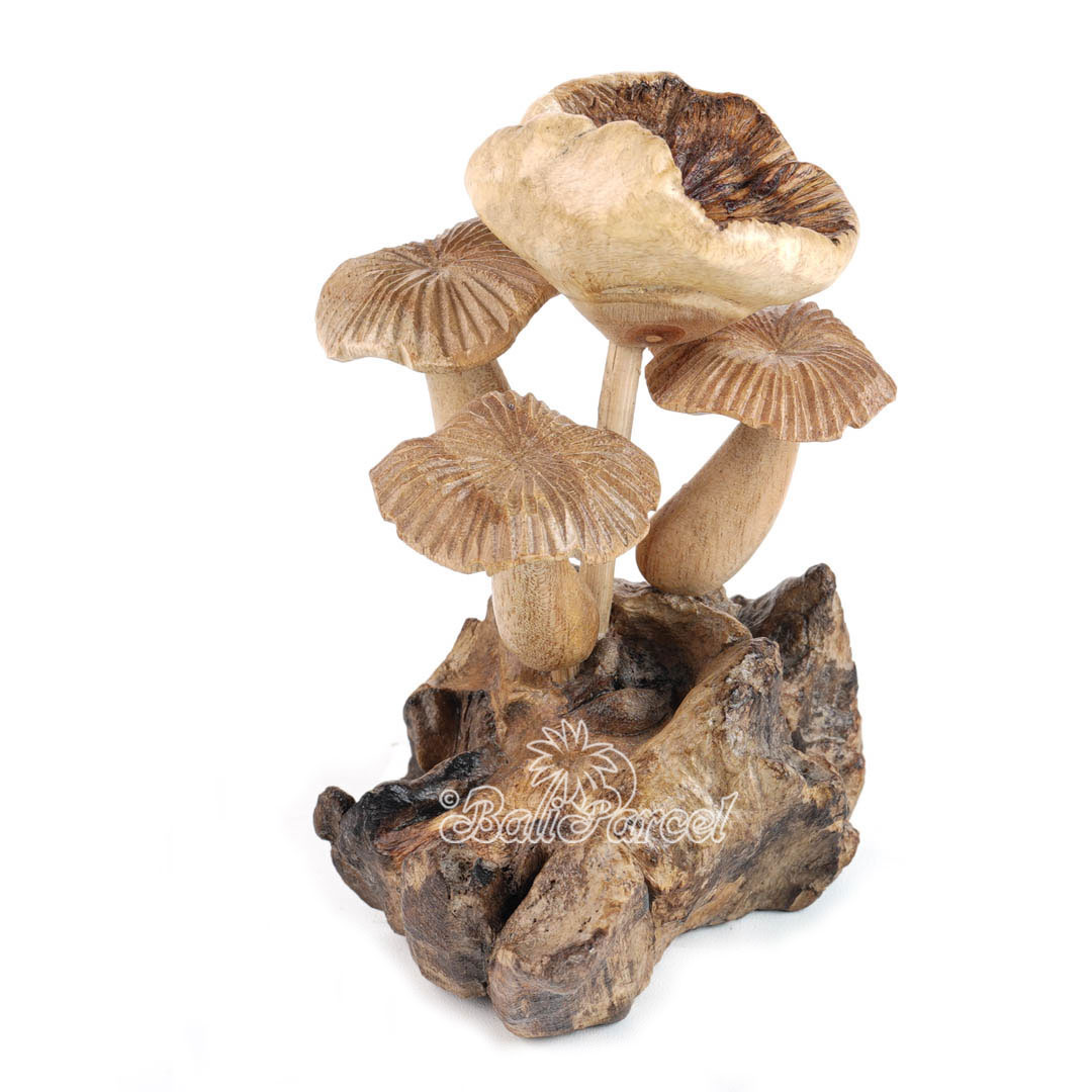 Wooden Mushrooms With Parasite Wood
