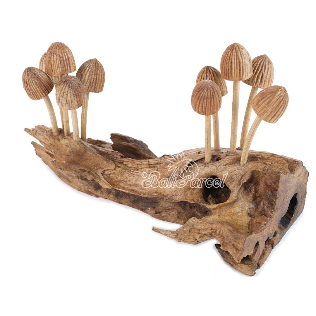 Wooden Mushrooms With Parasite Wood