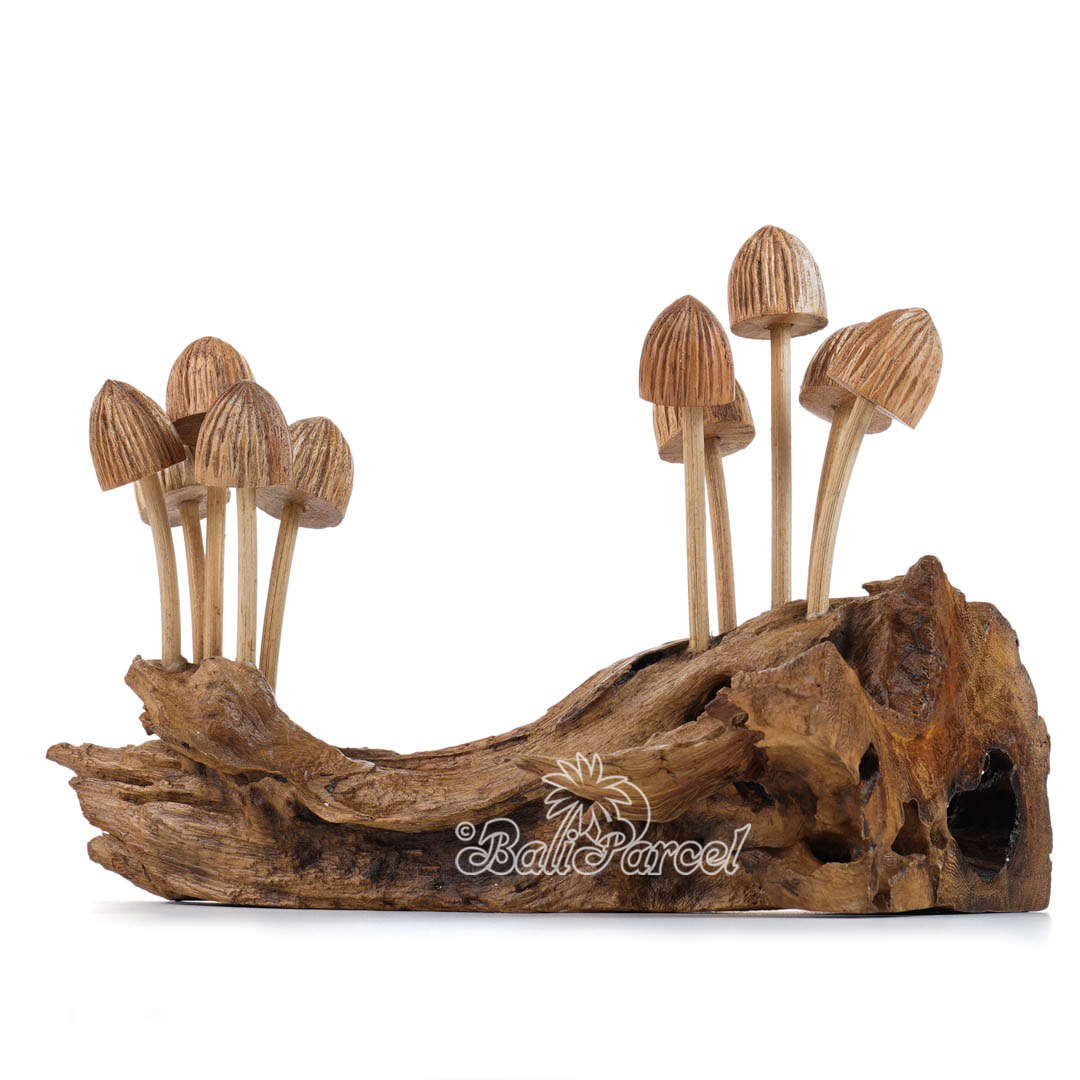 Wooden Mushrooms With Parasite Wood