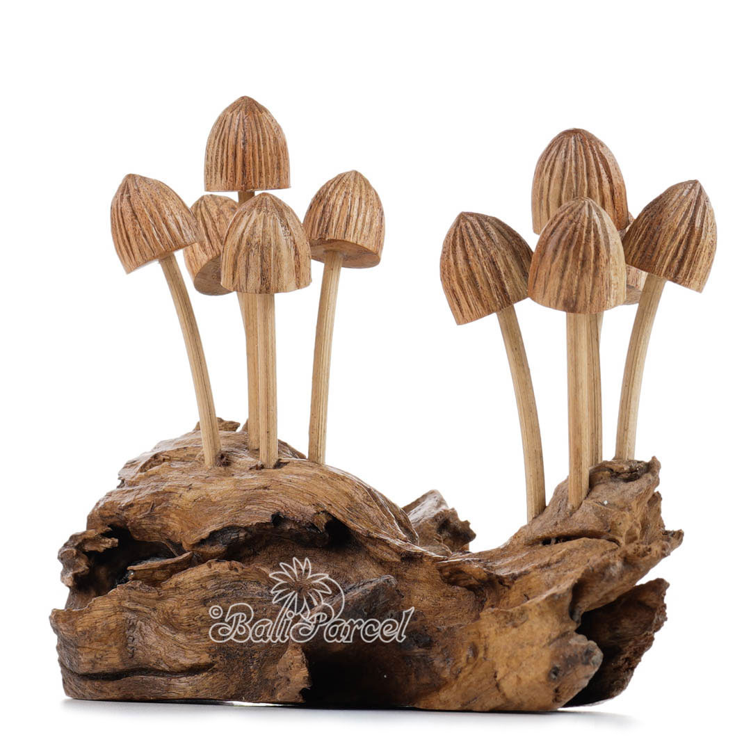 Wooden Mushrooms With Parasite Wood