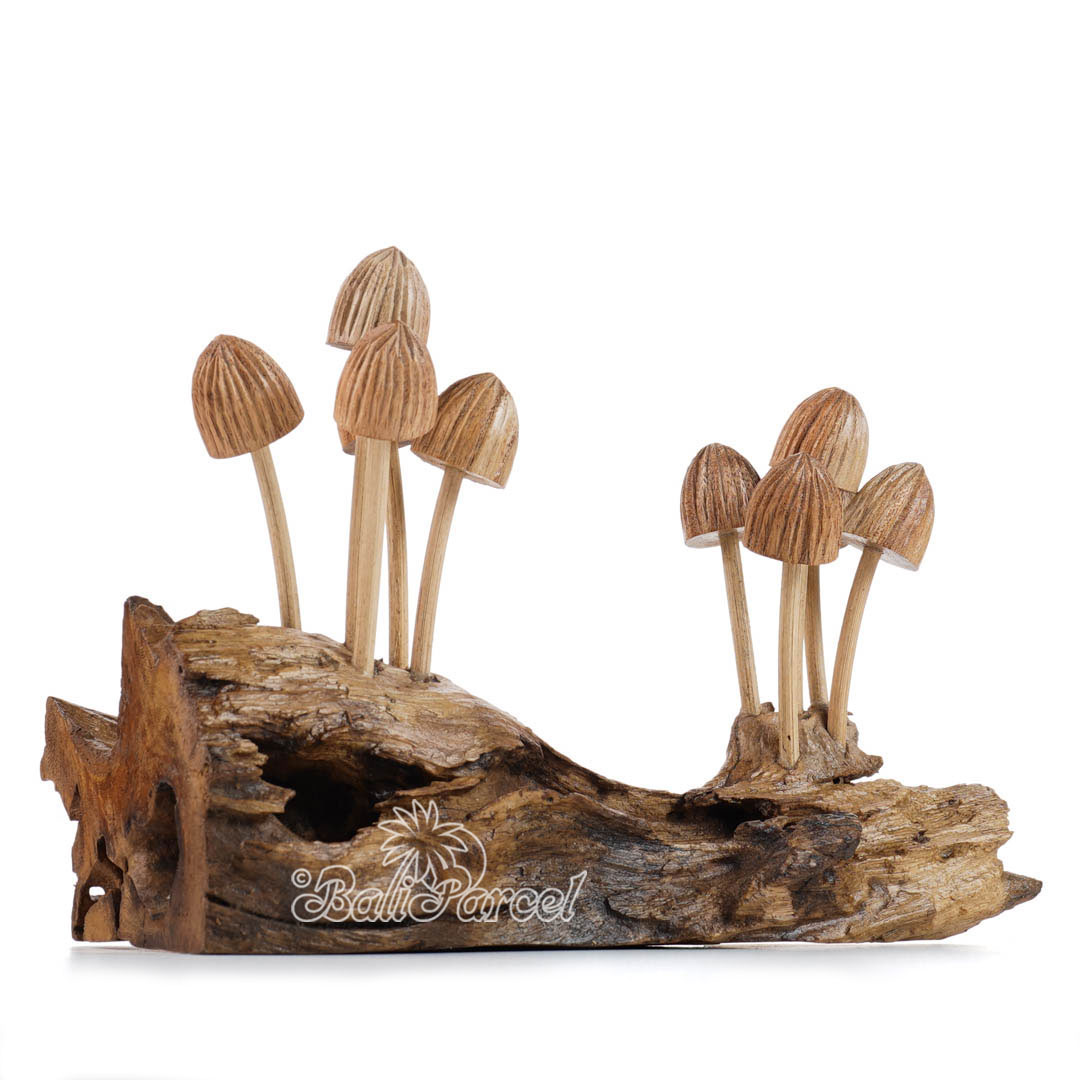 Wooden Mushrooms With Parasite Wood
