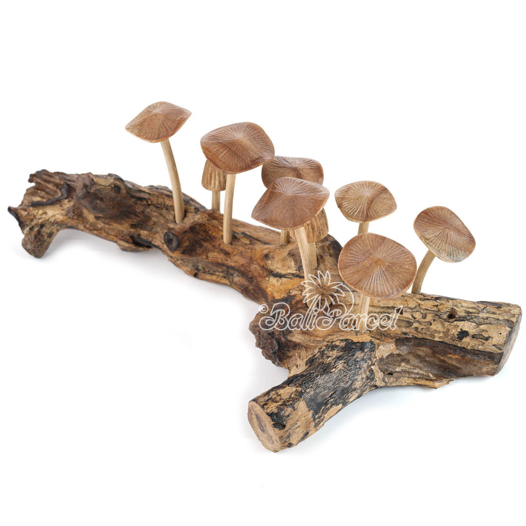 Wooden Mushrooms With Parasite Wood