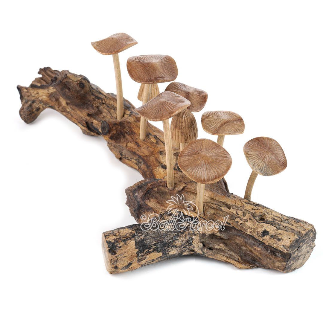 Wooden Mushrooms With Parasite Wood
