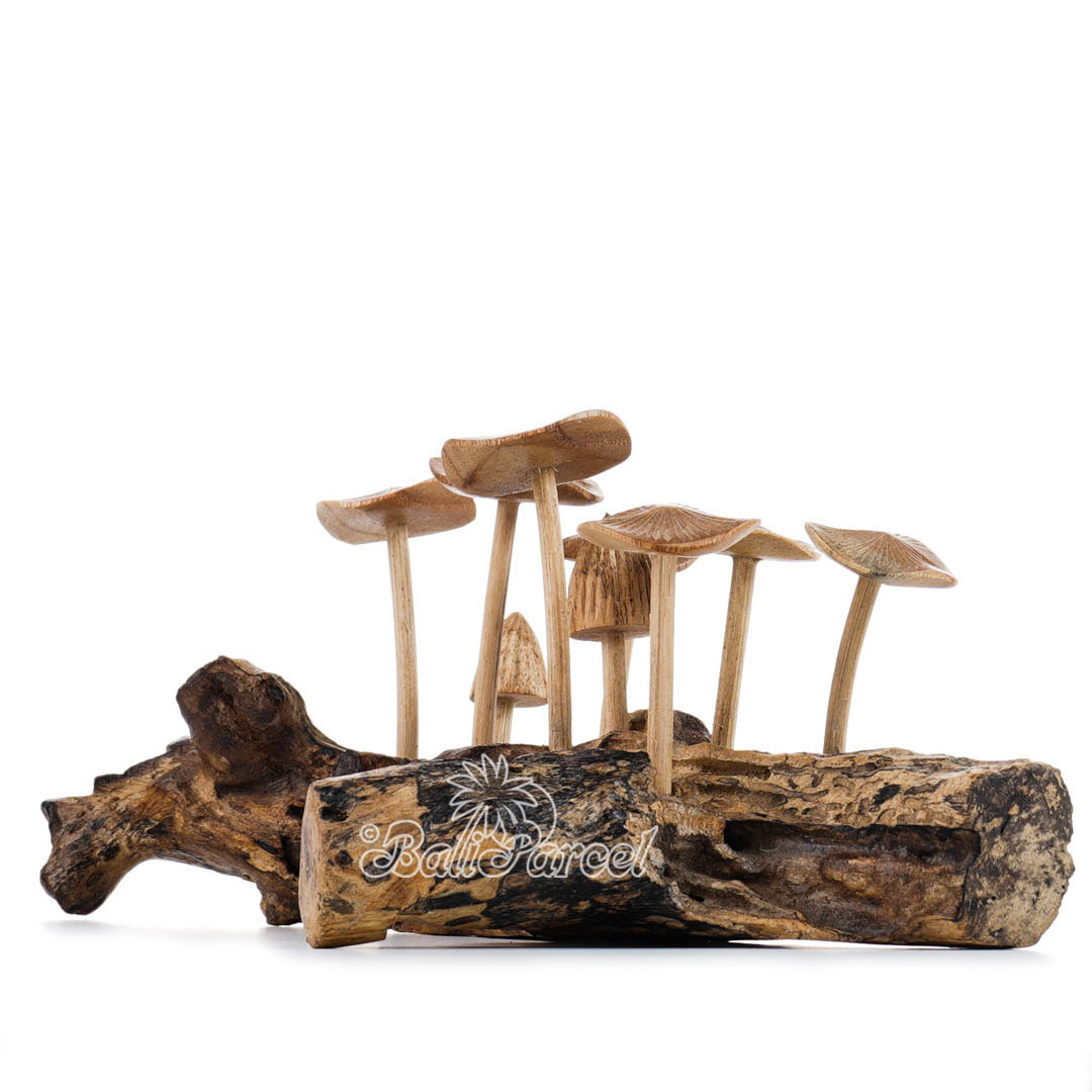 Wooden Mushrooms With Parasite Wood