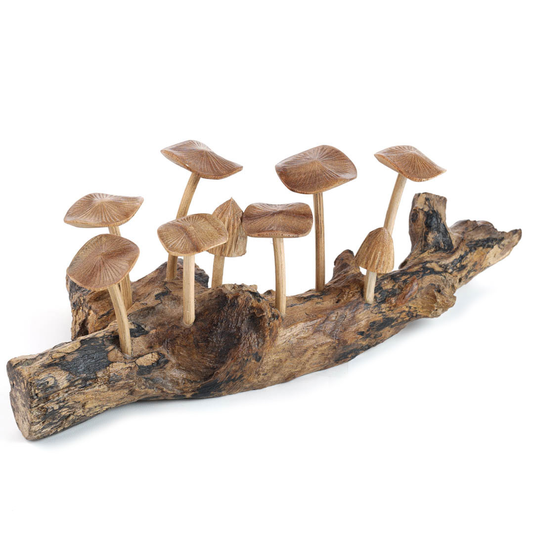 Wooden Mushrooms With Parasite Wood