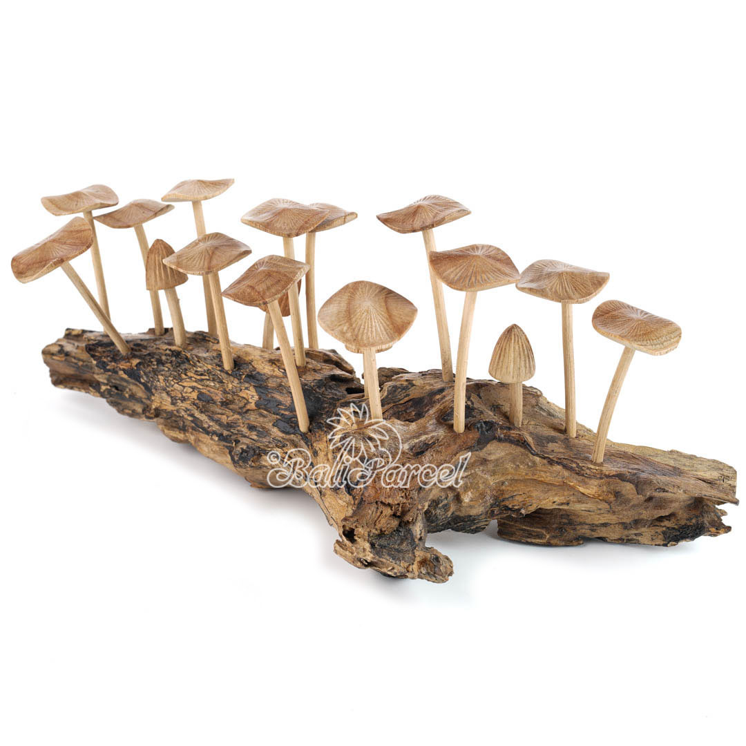 Wooden Mushrooms With Parasite Wood