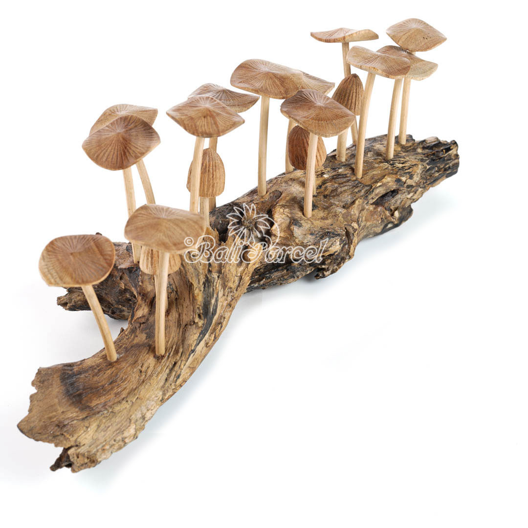 Wooden Mushrooms With Parasite Wood
