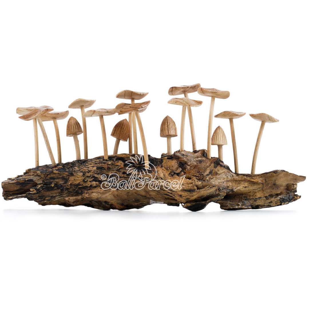 Wooden Mushrooms With Parasite Wood