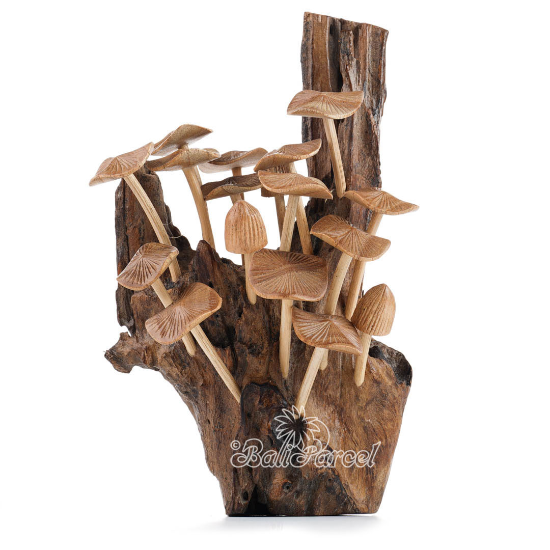Wooden Mushrooms With Parasite Wood