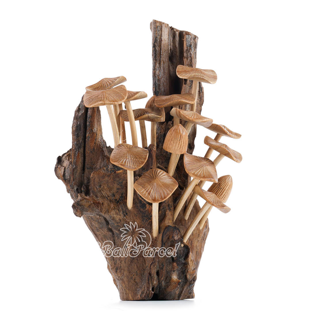 Wooden Mushrooms With Parasite Wood