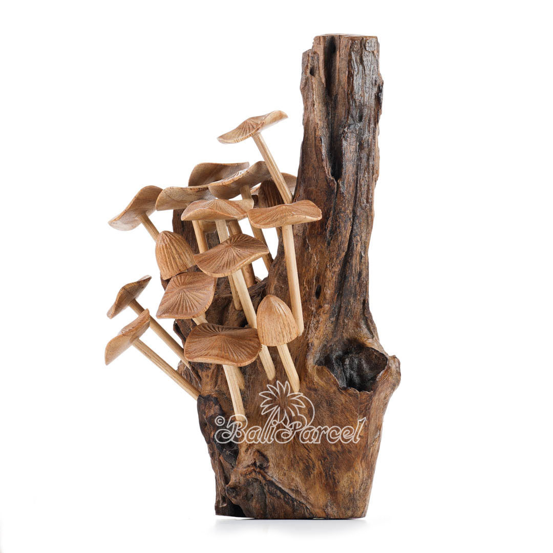 Wooden Mushrooms With Parasite Wood
