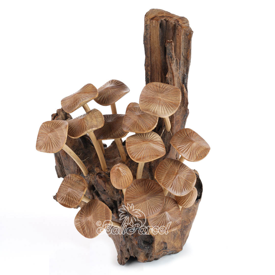 Wooden Mushrooms With Parasite Wood