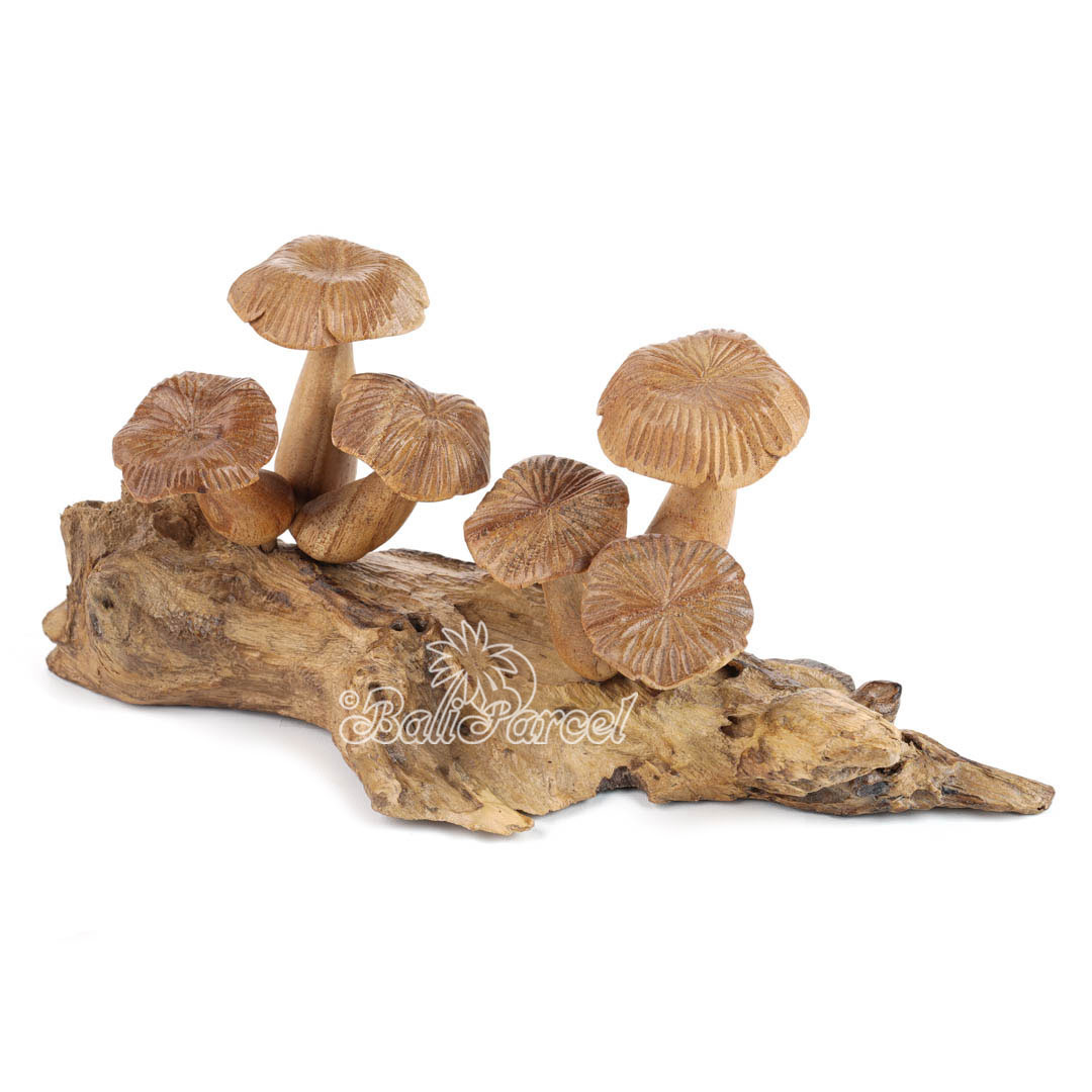 Wooden Mushrooms With Parasite Wood